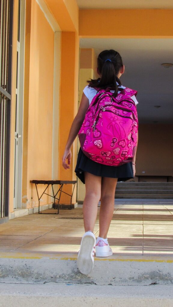 student, school, first day, first steps, primary school, school bag, brown school, school, primary school, school bag, school bag, school bag, school bag, school bag